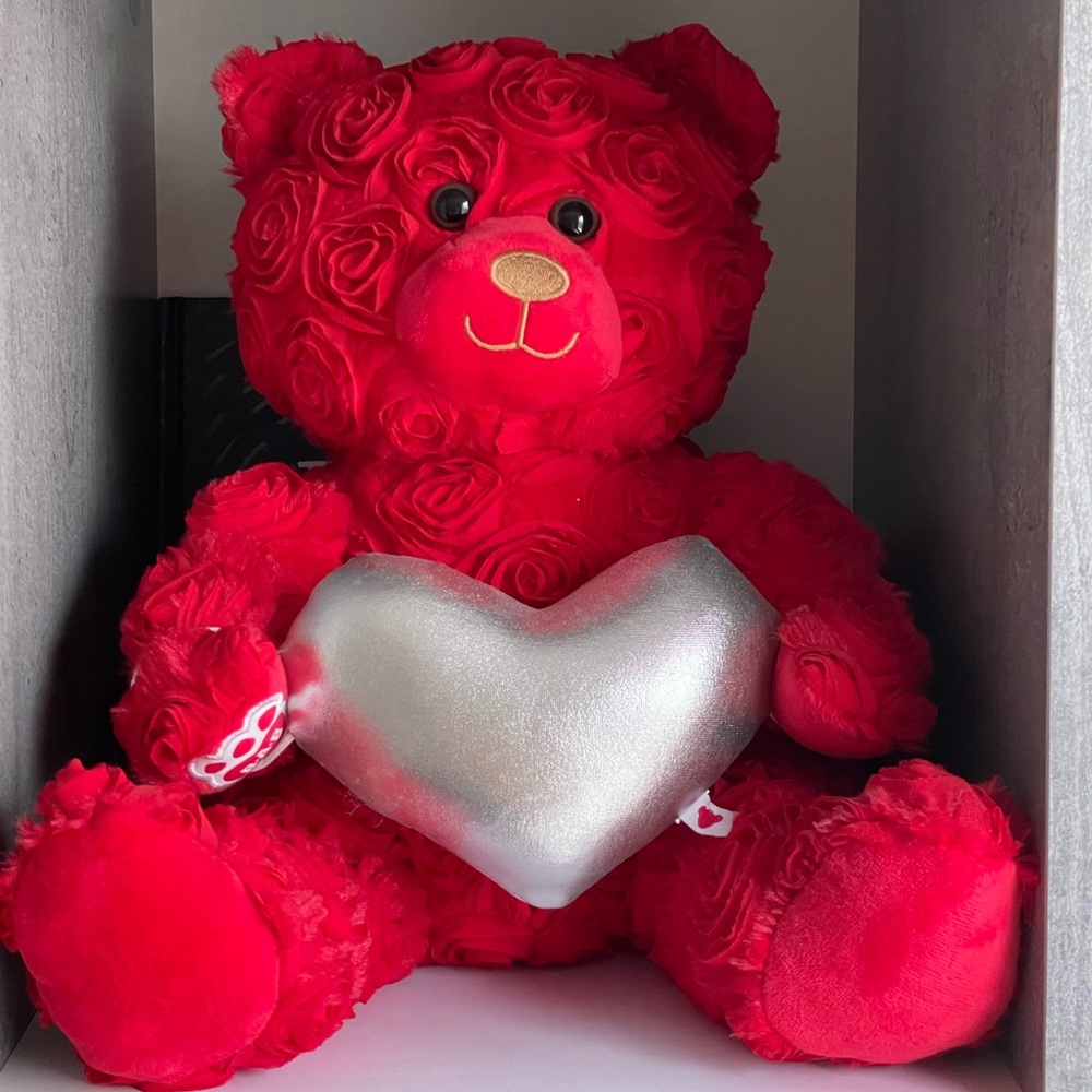 Red rose stuffed bear (build-a-bear workshop) with accessories - Valentine’s Day